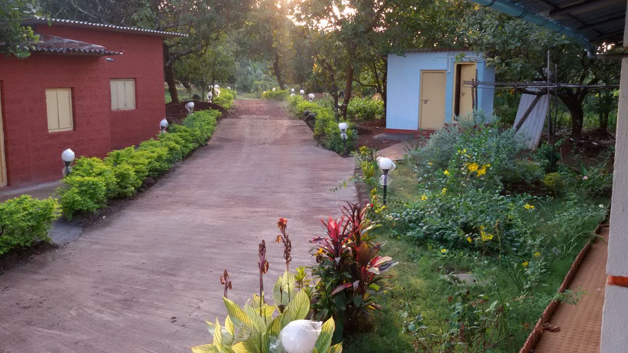 WhatsApp Image 2026-03-30 at 11.13.24