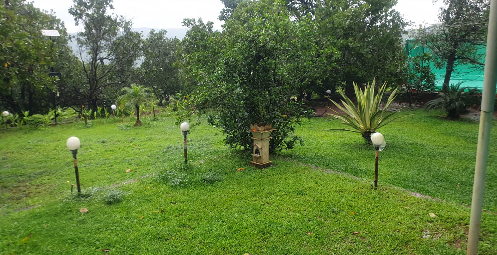 Kokan Safari Surrounding (2)