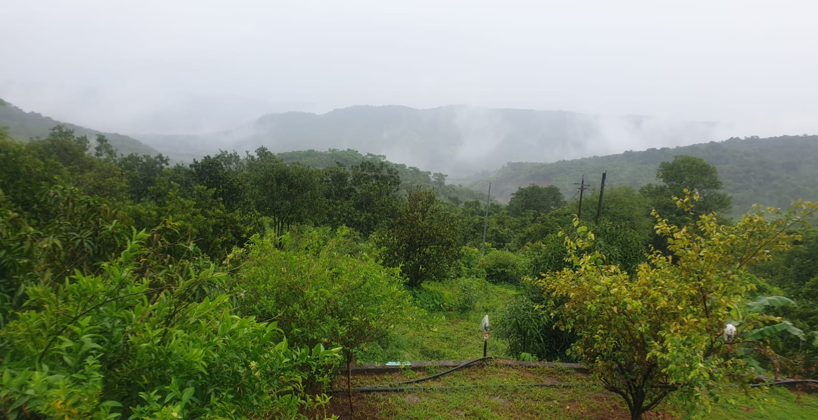 Kokan Safari Surrounding (3)