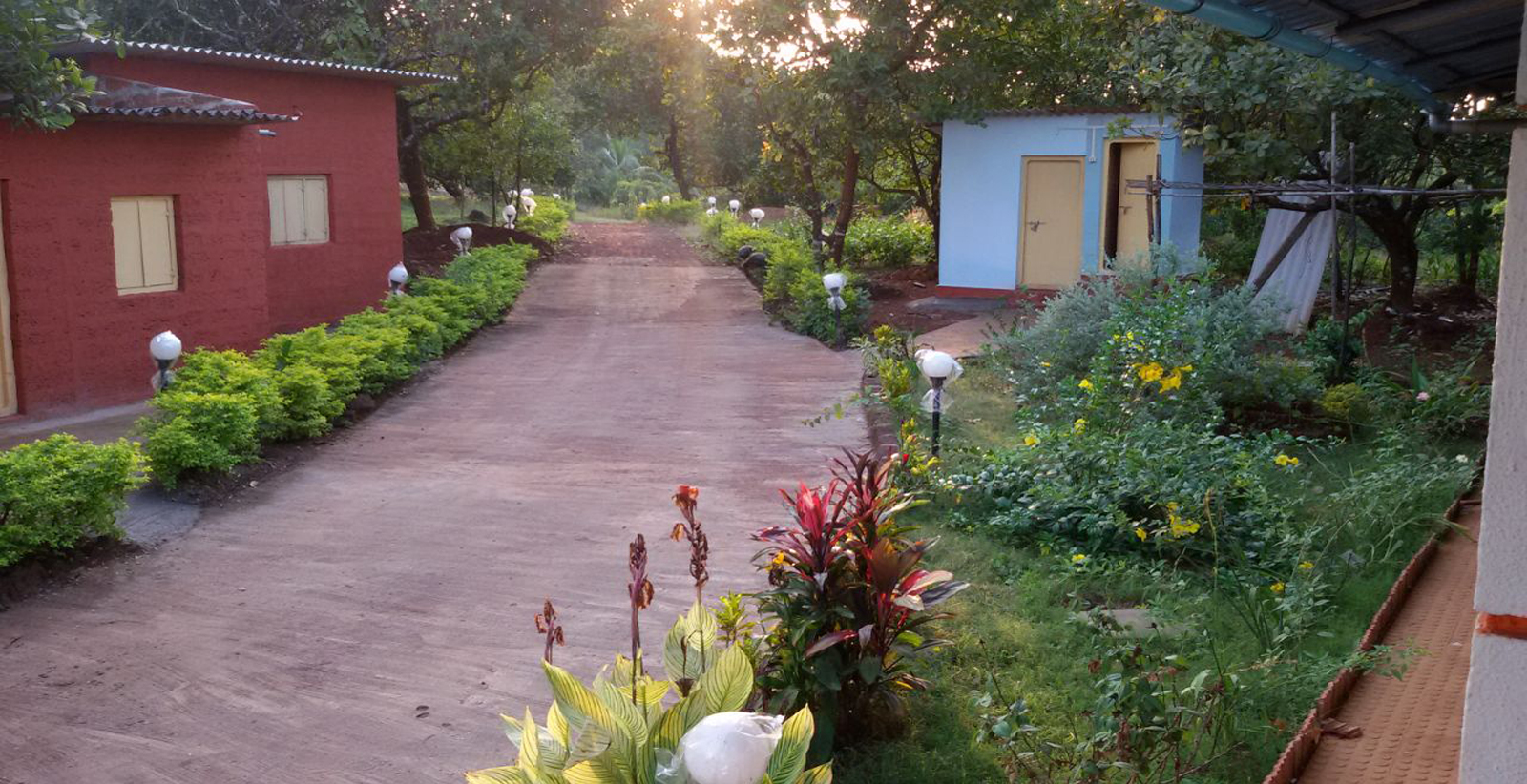 Kokan Safari Surrounding (4)